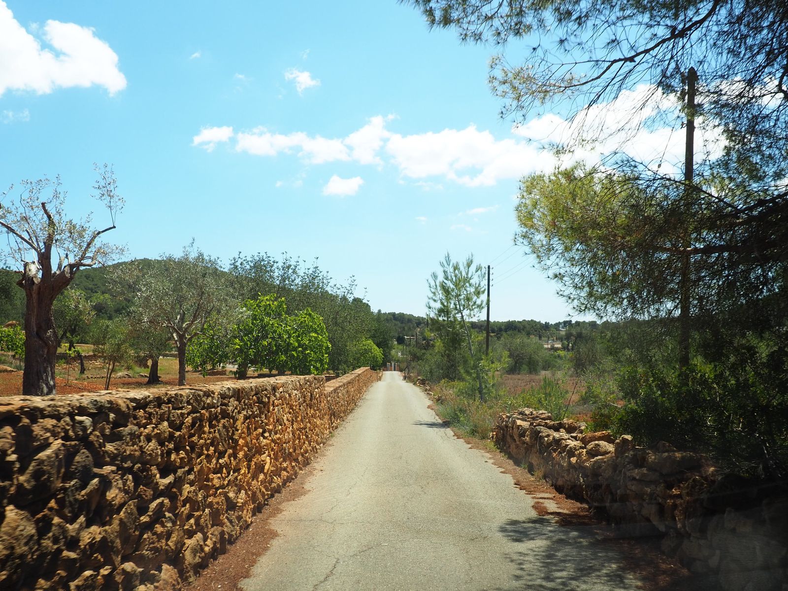 Santa Eulària presenta el primer catàleg de camins d'Eivissa després d'estudiar i documentar 330 km de territori