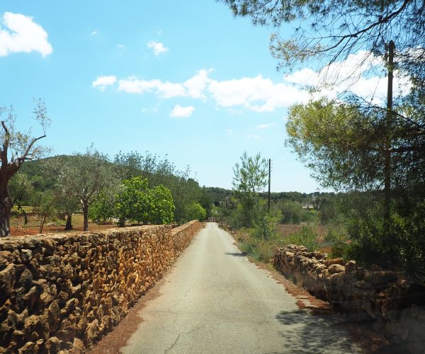 Santa Eulària presenta el primer catàleg de camins d'Eivissa després d'estudiar i documentar 330 km de territori